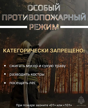 На территории Онгудайского района введён особый противопожарный режим