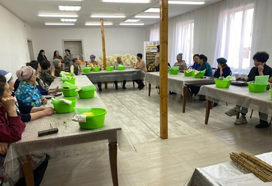 Открытие проекта «Волшебный войлок»